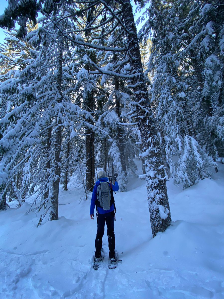 Georgia Catt tweet media