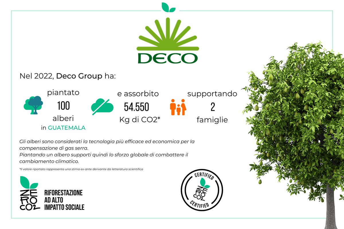 🍀🌳𝗗𝗘𝗖𝗢 𝗚𝗥𝗘𝗘𝗡 𝗪𝗢𝗢𝗗𝗦: 𝗣𝗜𝗔𝗡𝗧𝗔𝗧𝗜 𝗜 𝗣𝗥𝗜𝗠𝗜 𝟭𝟬𝟬 𝗔𝗟𝗕𝗘𝗥𝗜🍀🌳
Per saperne di più 👇👇👇
decogroup.it/site/deco-gree…