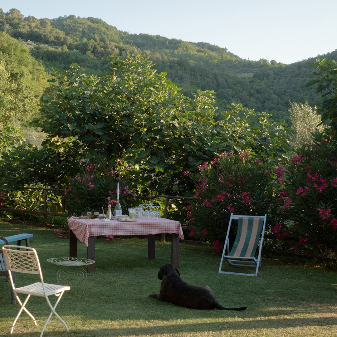 ag_lafonte's tweet photo. Ogni degustazione @ag_lafonte prevede: la preparazione attenta di tutti i dettagli, l'attesa... e infine il piacere di parlare e degustare ottimi vini locali!
#lafonteagriturismo #agriturismolafonte #umbria #perugia #visitperugia #visitumbria #visititaly #estate2022 #agriturismo https://t.co/lK0C3fOQd1