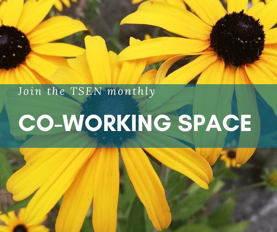 localsparktrbay's tweet photo. TSEN Co-working space and other good news - https://t.co/MlU3mc0RDV https://t.co/dgyUyarwiD