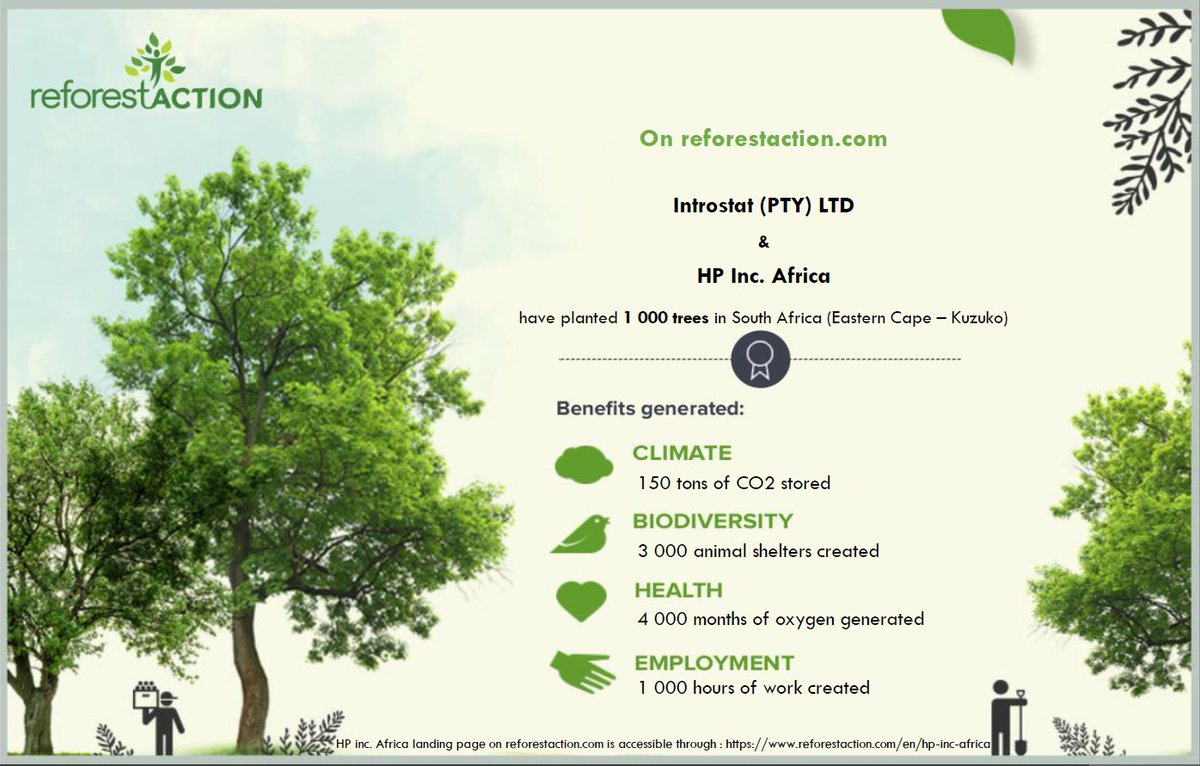 IntrostatSA's tweet photo. As part of our continuing sustainability efforts, we are proud to announce that in partnership with HP, we have planted 1 000 new trees in the Eastern Cape Area.
#sustainability #reforestaction https://t.co/zRVreQhRp1