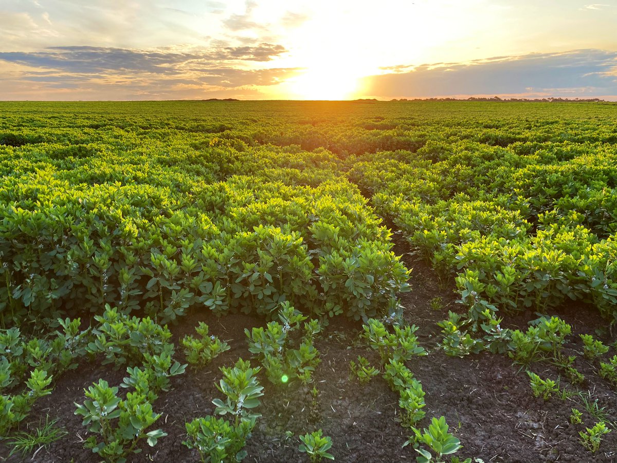 Kenton Porker tweet media