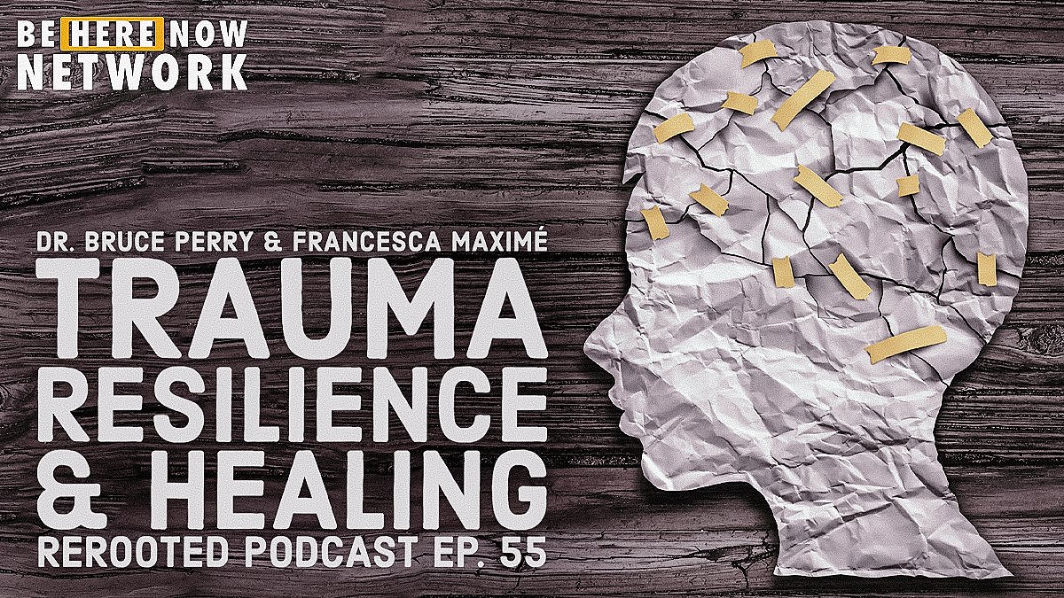 BeHereNowNet's tweet photo. Dr. Bruce Perry is back with @MaximeClarity to explore how to overcome traumas, like rat race mindset, by healing through methodologies of inner reflection. https://t.co/lhzx0V2mO0 #rerooted #podcast Thanks to @betterhelp #sponsored #ad #podcast Go to https://t.co/tdUepstjlO https://t.co/oEdRFYHREj