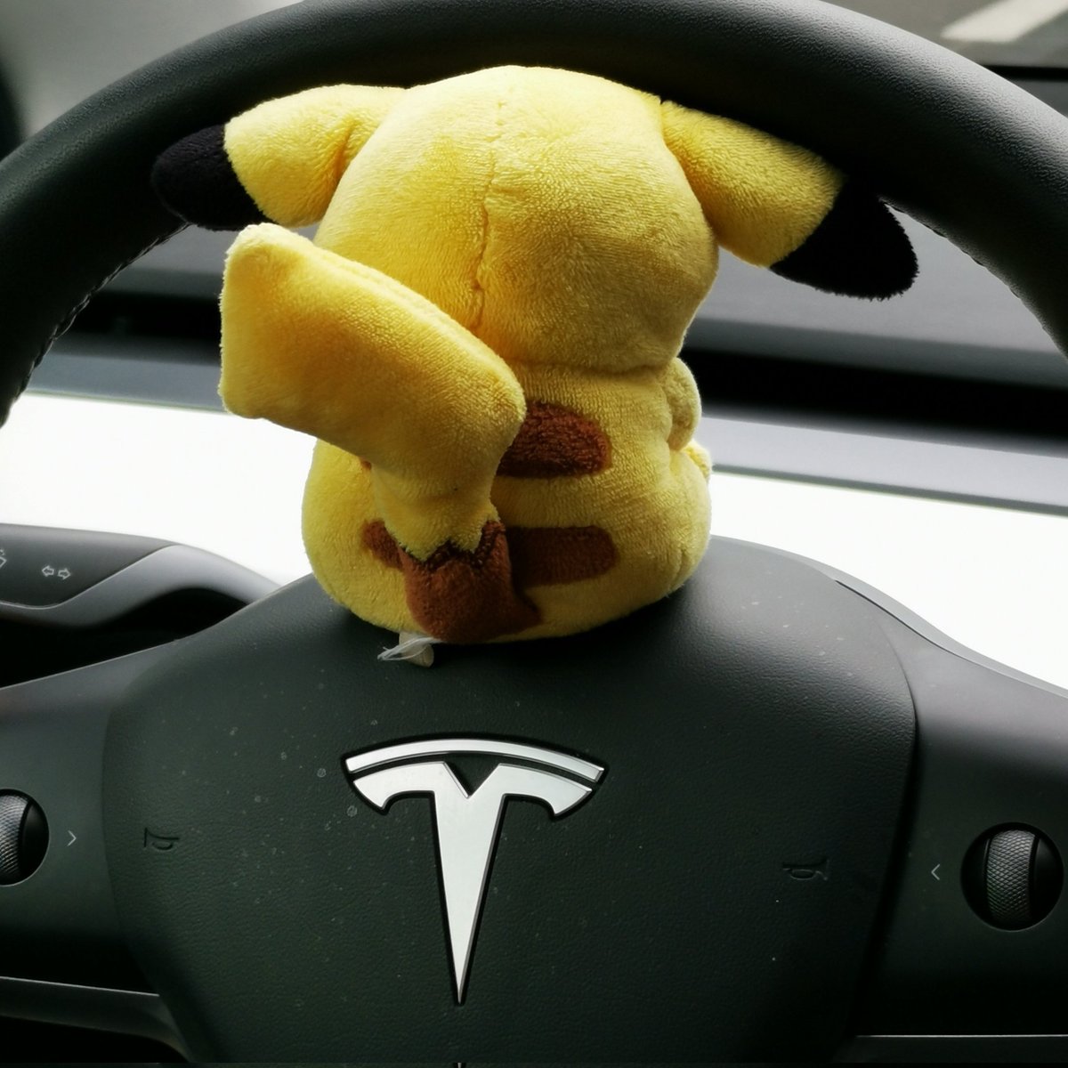 テスラ初心者🔰 tweet media