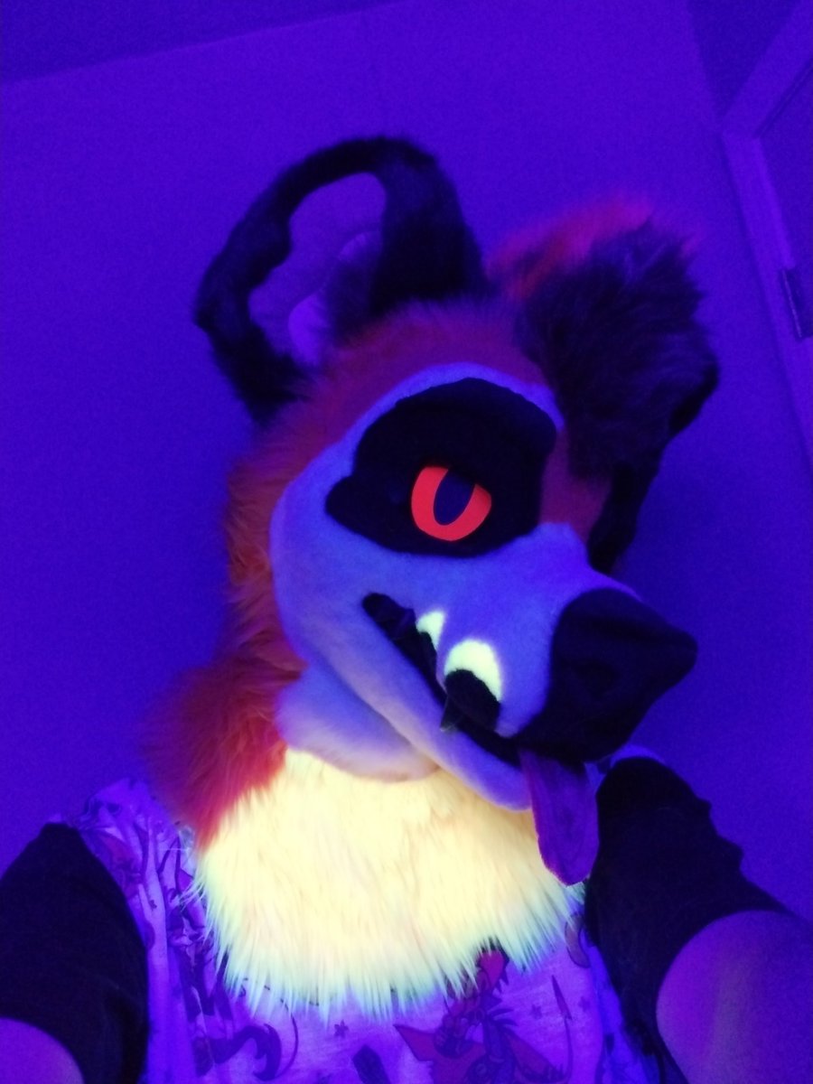 cookiewolf.bsky.social tweet media