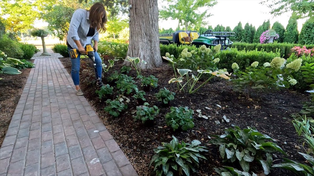 AllForGardening's tweet photo. #Garden #Answer: #Planting a ...
 
#Beautiful #Bush #Dirt #Diy #Earth #Fall #Flower #FunDIY #GardenAnswer
 
https://t.co/n0417bf9W9 https://t.co/GNYNbPwtB6