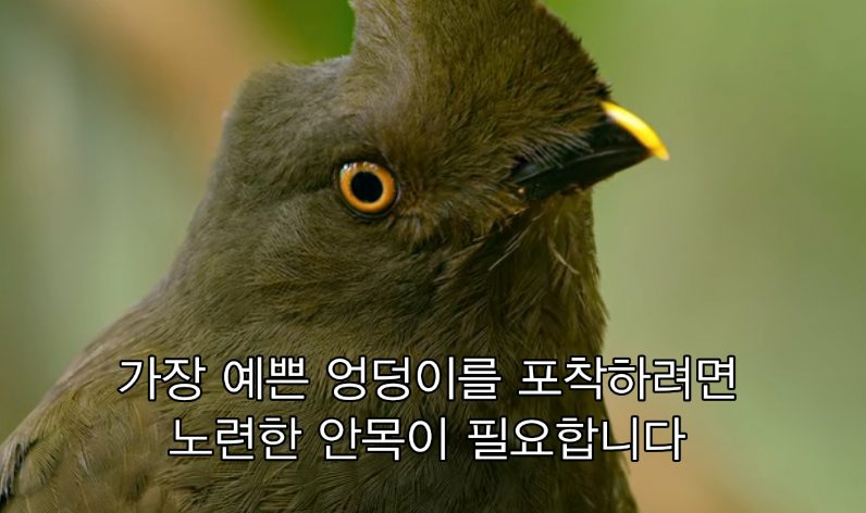 Hello_Signum's tweet photo. https://t.co/8emO9YWlUj
