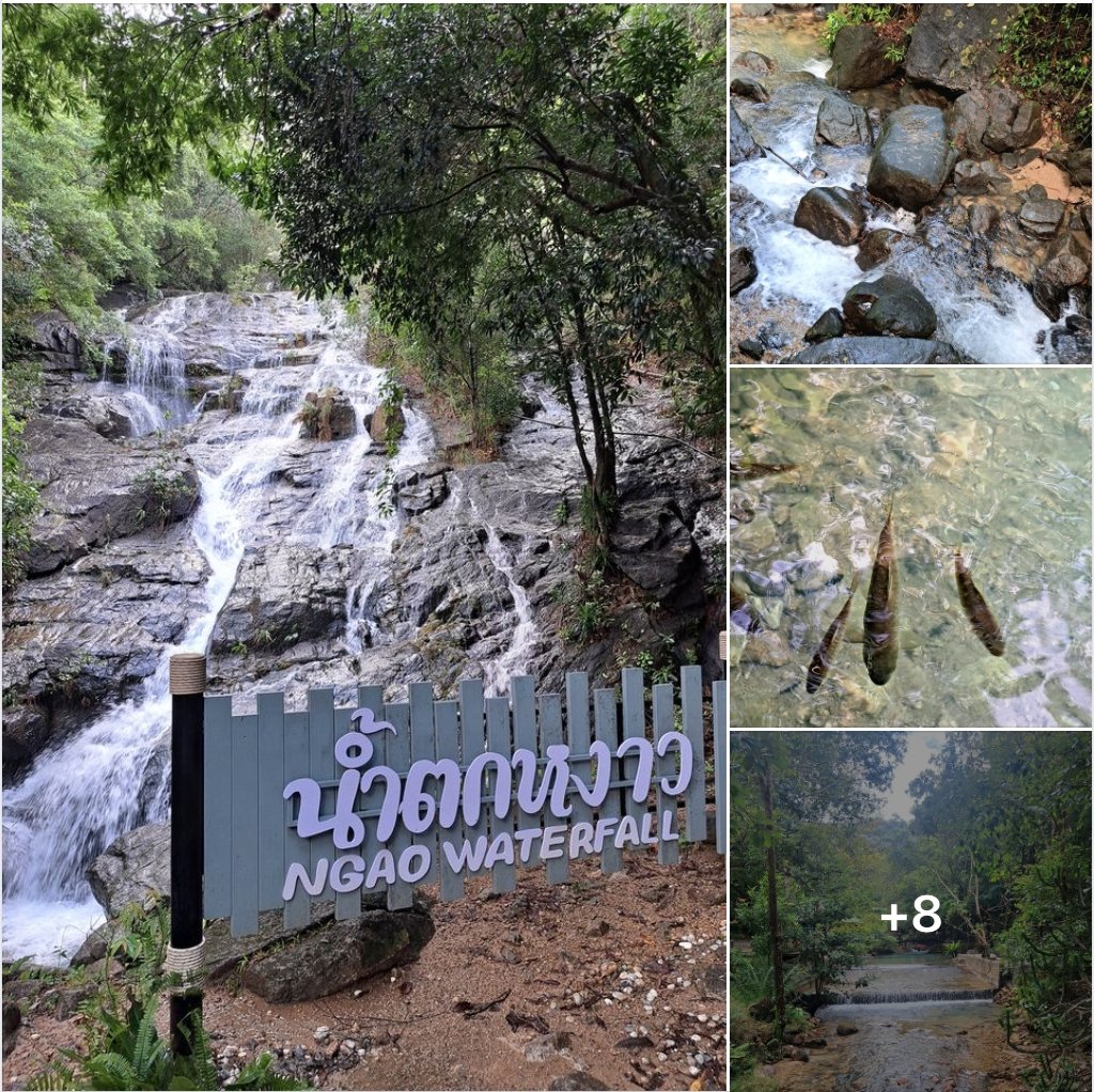 💦#อุทยานแห่งชาติน้ำตกหงาว  น้ำตกคู่บ้านคู่เมืองชาวระนอง สูงชันกว่า 350 เมตร
อ่านรีวิวเต็มได้ที่ th.readme.me/p/41831 
ส่วนลดที่ตั๋วเครื่องบิน #ระนอง คลิกที่ bit.ly/3cmqLho 
รีวิวโดย: หยุดไม่อยู่ : unstoppable #รีวิวท่องเที่ยว  #รีวิวที่พัก #เที่ยวธรรมชาติ