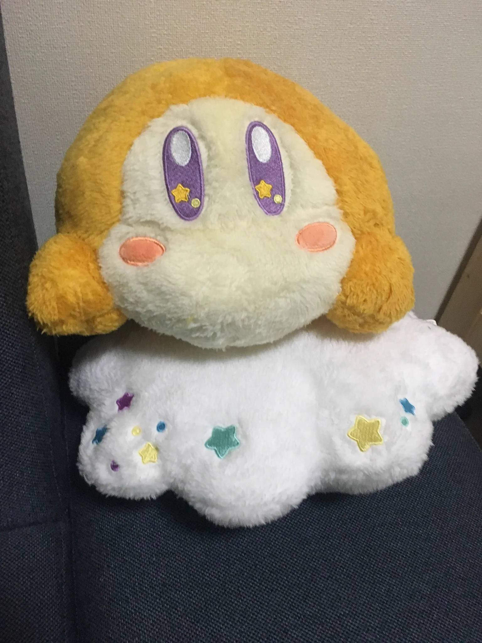 @p_bandai ヒーター機能はないけどそれなりの大きさのぬいぐるみならある 