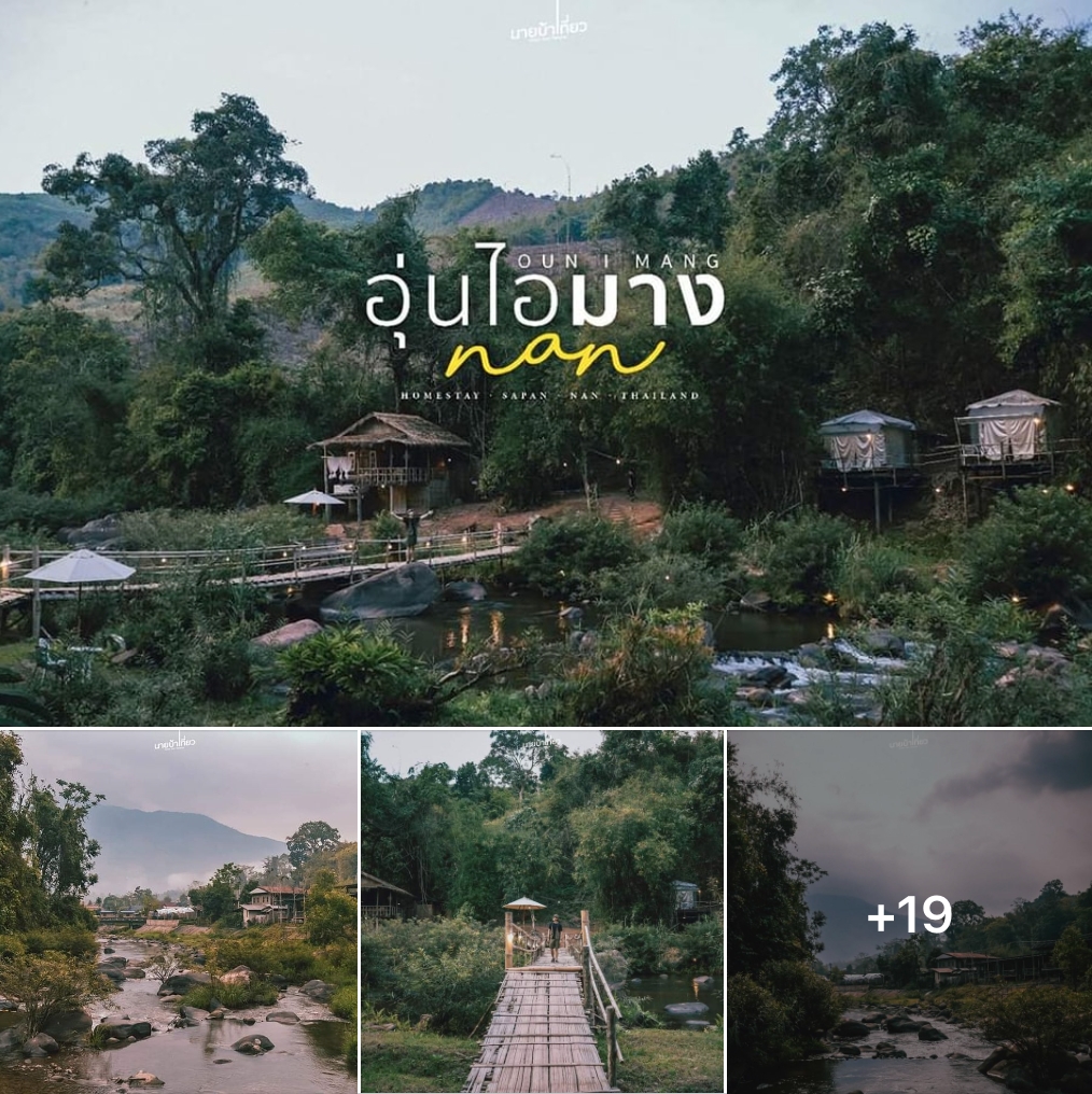 🏡 อุ่นไอมาง 𝗢𝘂𝗻 𝗜 𝗠𝗮𝗻𝗴 โฮมสเตย์ น่าน บรรยากาศดีติดริมลำธารไหลเย็น ที่ซ่อนตัวอยู่ท่ามกลางหุบเขาอันเขียวขจีและแสนเงียบสงบ 🍃
อ่านรีวิวเต็มที่ th.readme.me/p/40322 
รีวิวโดย  น า ย บ้ า เ ที่ ย ว  #รีวิวท่องเที่ยว 
ส่วนลดที่พัก #น่าน  คลิก bit.ly/3RQiyBX
