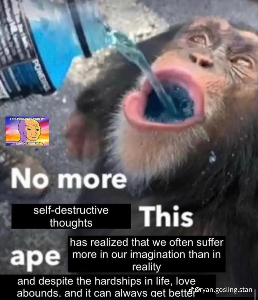 I think I need to come to the same realisation as the monkey.