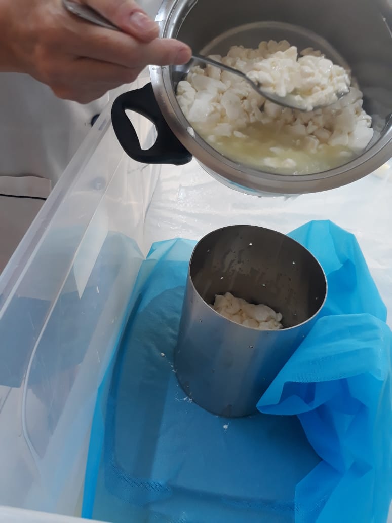 humkoop's tweet photo. Learn how to make a fermented milk product at   
the Melkfees on 23+24 Sept with Dynamiko Food Ingredients on Fri:13:30 – 15:00 (Feta, Camembert, Maas, Buttermilk.  Sat:10:00 – 11:30 (Cottage Cheese, Cream cheese, Mascarpone, drinking yoghurt...BOOK by 15 Sept on 082 873 8945. https://t.co/x70pLZLwXP