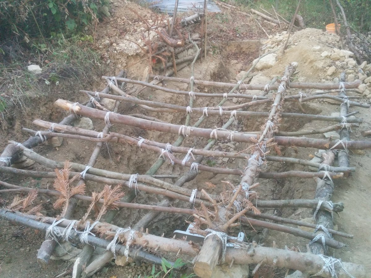 MechTech4's tweet image. aber papaschlumpfeles das sind ja rechteckle....
ja, die versteckt der aber später...

#NextTry circular., with alive roots,...etc.