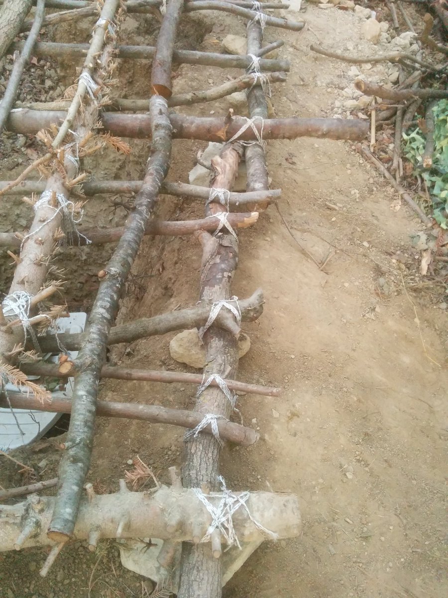 MechTech4's tweet image. aber papaschlumpfeles das sind ja rechteckle....
ja, die versteckt der aber später...

#NextTry circular., with alive roots,...etc.