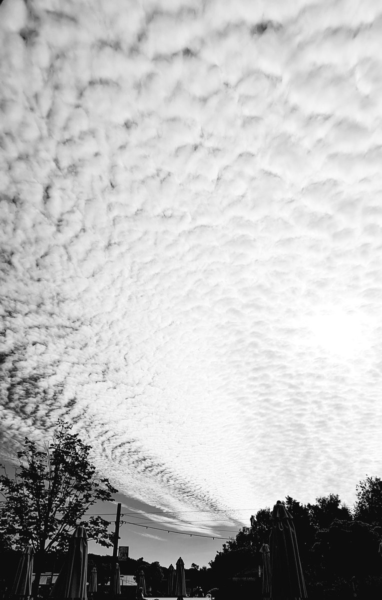 got7jjp__'s tweet photo. Magic of nature and light
b/w edition of my trip yesterday
ยฉby me
DO NOT REPOST CROP EDIT OR PRINT
#art #blackandwhitephotography #photography #vintage #vintagephotography #nature #magicoflight https://t.co/8XxImZqtSN