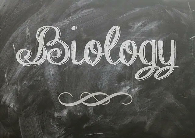 mystudycart's tweet photo. Biology has the highest weightage in #NEET exam. It’s the most scoring among all three subjects (PCB).
Best ways to improve Biology for NEET : https://t.co/0W3diF6o4B
#NEETUG #NEETBiology #NEETStudyTips #NEETBiologyTips #NEETaspirants https://t.co/m5aghYzKpa