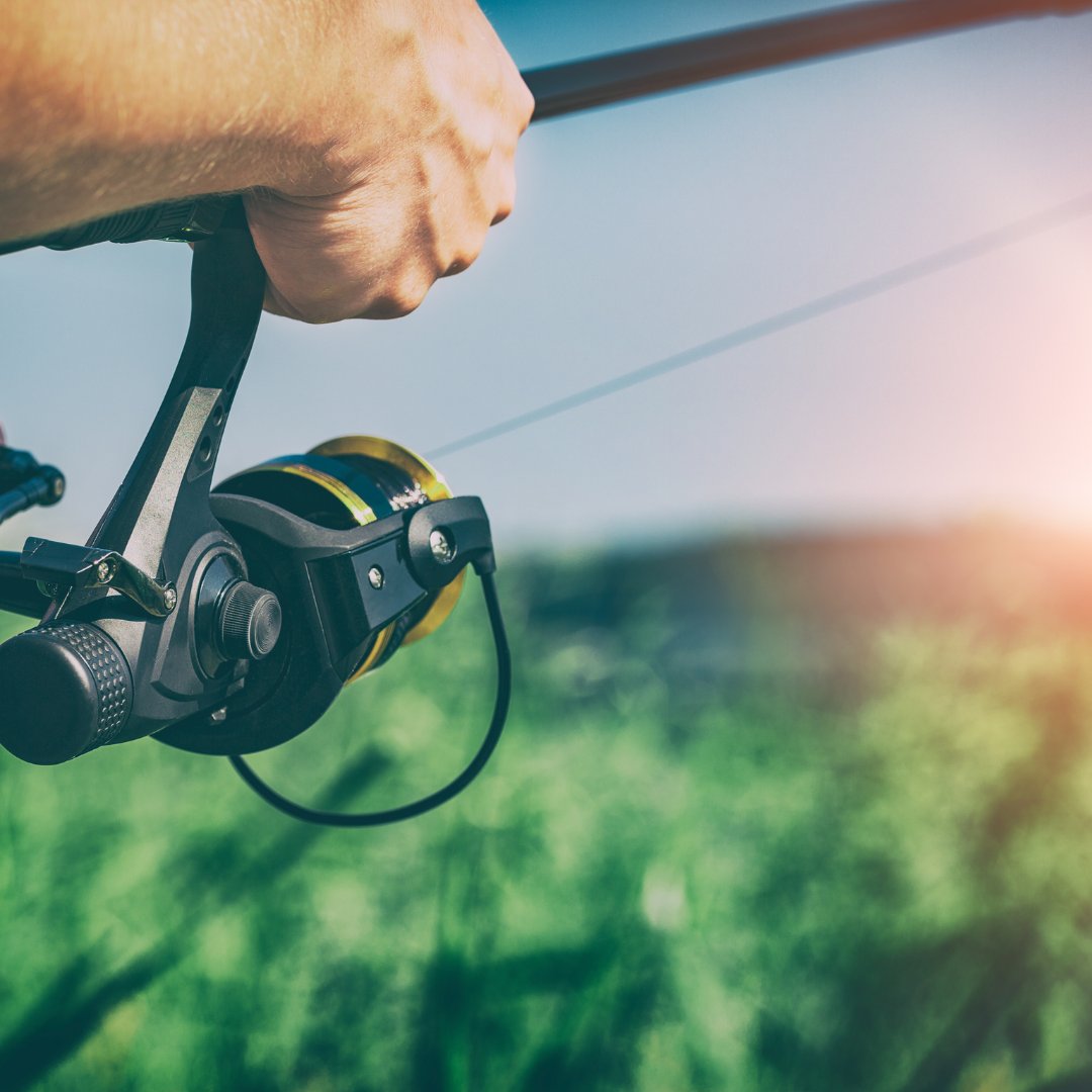 ChipteeA's tweet photo. Morning catch
#fishing #fishinglife #fishingaddict #fishingtrip #fisherman #chipteeamz #fishingshirt #hobby #fish #FishingLine #fishingislife #FishingAndTravel #fishingshirt #chipteeamz #sun #morningshow #hand https://t.co/zB8SaDTQOX