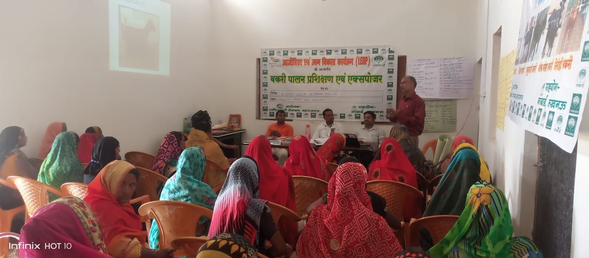 CdoMaharajganj's tweet photo. #महिला_स्वावलंबन
#SHGs के आर्थिक स्वावलंबन हेतु आजीविका एवं उद्यम विकास #LEDP कार्यक्रम के द्वारा #SHGs को प्रशिक्षित किया जा रहा है, सदर ब्लाक सभागार में द्वितीय बैच का दूसरे दिन बकरी पालन पर पशुपालन विभाग द्वारा प्रशिक्षित किया गया। @DmMaharajganj @UpRuralDev @CMOfficeUP https://t.co/BticzV8zoL