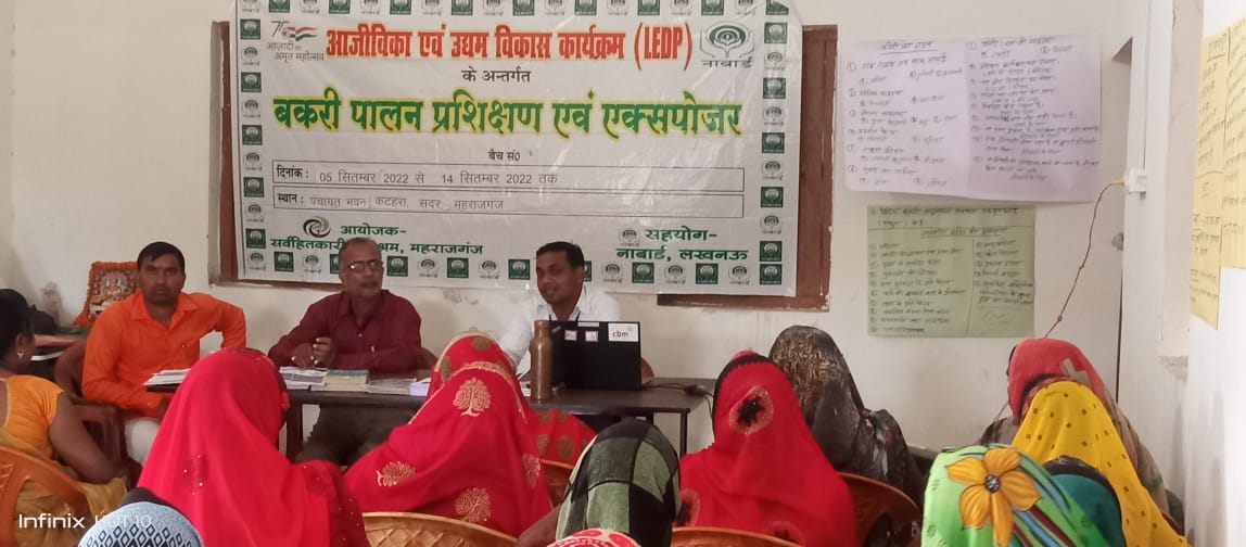 CdoMaharajganj's tweet photo. #महिला_स्वावलंबन
#SHGs के आर्थिक स्वावलंबन हेतु आजीविका एवं उद्यम विकास #LEDP कार्यक्रम के द्वारा #SHGs को प्रशिक्षित किया जा रहा है, सदर ब्लाक सभागार में द्वितीय बैच का दूसरे दिन बकरी पालन पर पशुपालन विभाग द्वारा प्रशिक्षित किया गया। @DmMaharajganj @UpRuralDev @CMOfficeUP https://t.co/BticzV8zoL