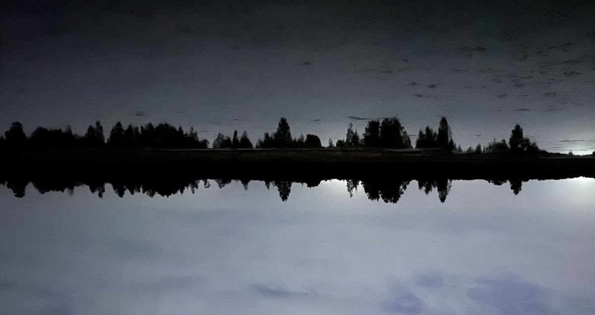 Ephemeral pond, making a perfect reflective surface for the sky. Out searching for the dreaded gambusia with uon students 😵‍💫😵‍💫😵‍💫 #ecology <a href="/dr_callen/">Dr Alex Callen</a> #pond #fish <a href="/ConservationUon/">Conservation Science Research Group</a>