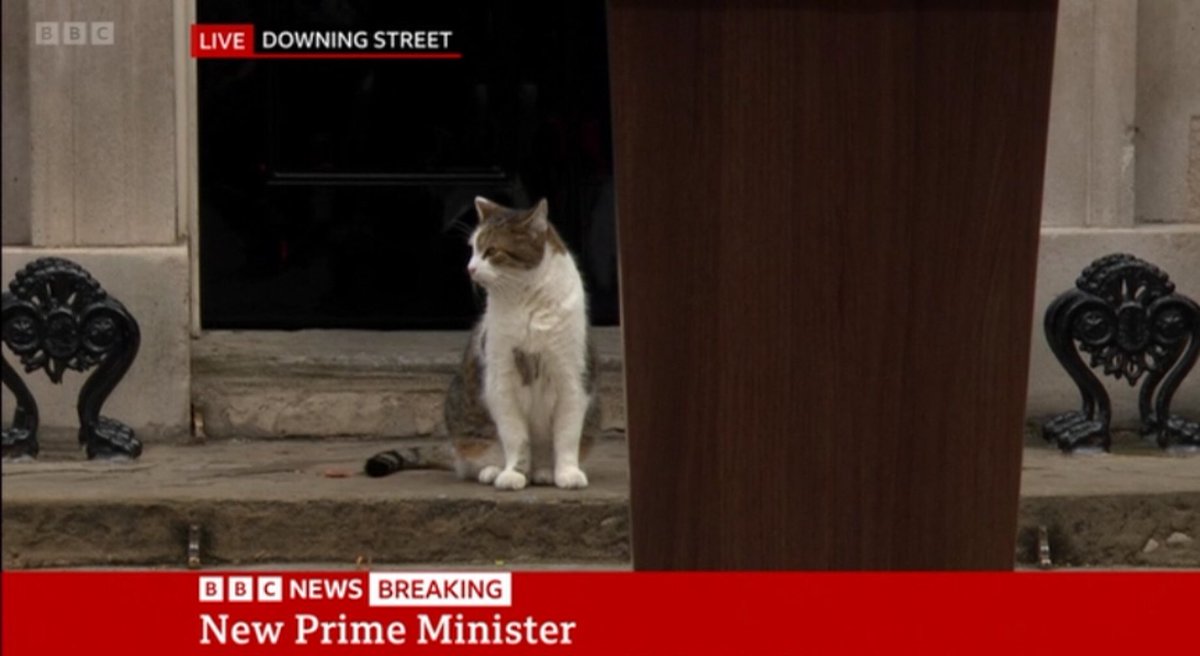 I mean it’s a bold move but it might play well in the country.
#YesWeCat