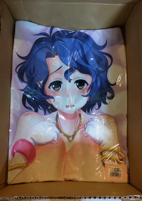 いや…君の抱き枕は…もういいや… 