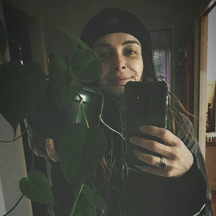 pripykat's tweet photo. #NewProfilePlantPic 🪴💚🌿 https://t.co/zCXhkDc1sT