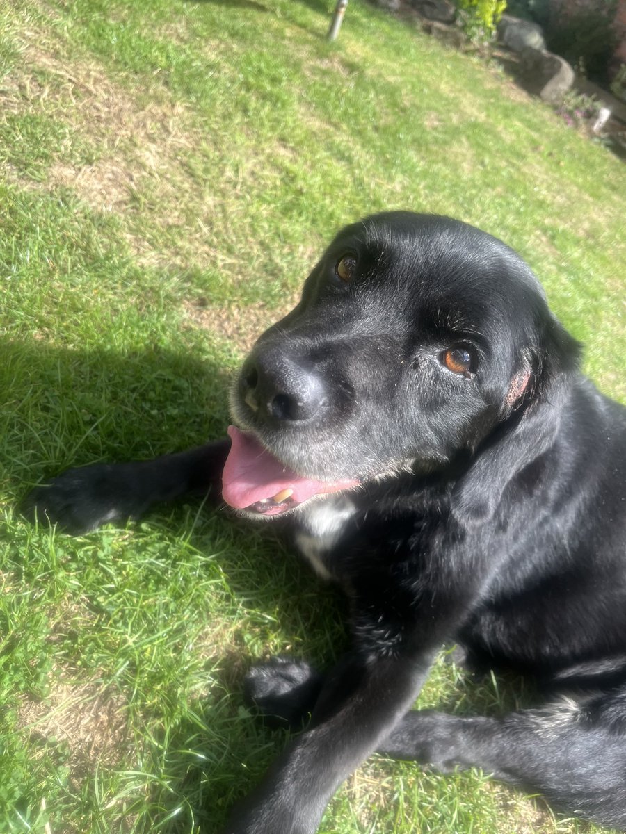 Fabric Learning tweet media