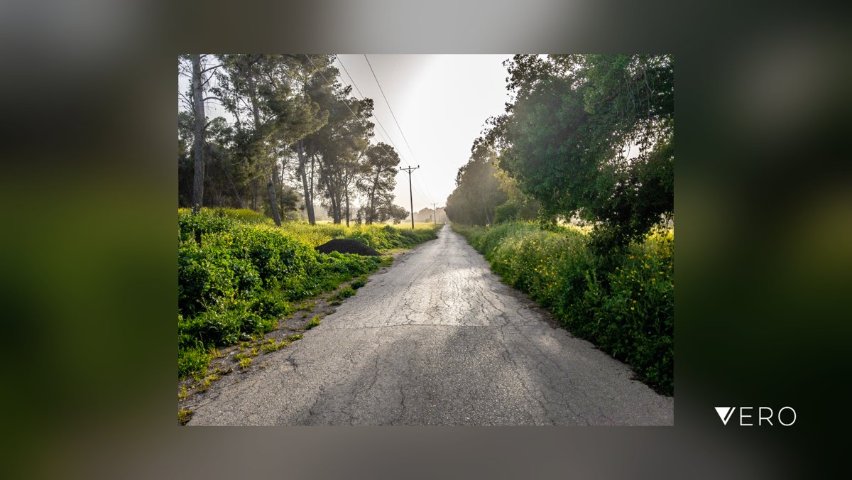 Old Road, Old Tales#Sky #Tree #Road #TranquilScene #Tranquility #Nature #Green #TheWayForward #iphonephotography #lightroom_mobile vero.co/majdshufani/g-…
