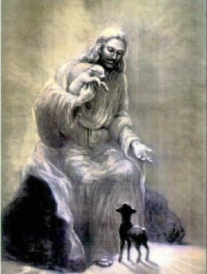 esteparioreyes's tweet photo. Tener fe, tal vez, no es un asunto de la razón, sino la experiencia misteriosa de llevar sanación, fuerza, coraje, luz a quienes nos rodean sin siquiera darnos cuenta.

Señor, creo, pero fortalece mi débil fe. https://t.co/hPUFwIsbnD