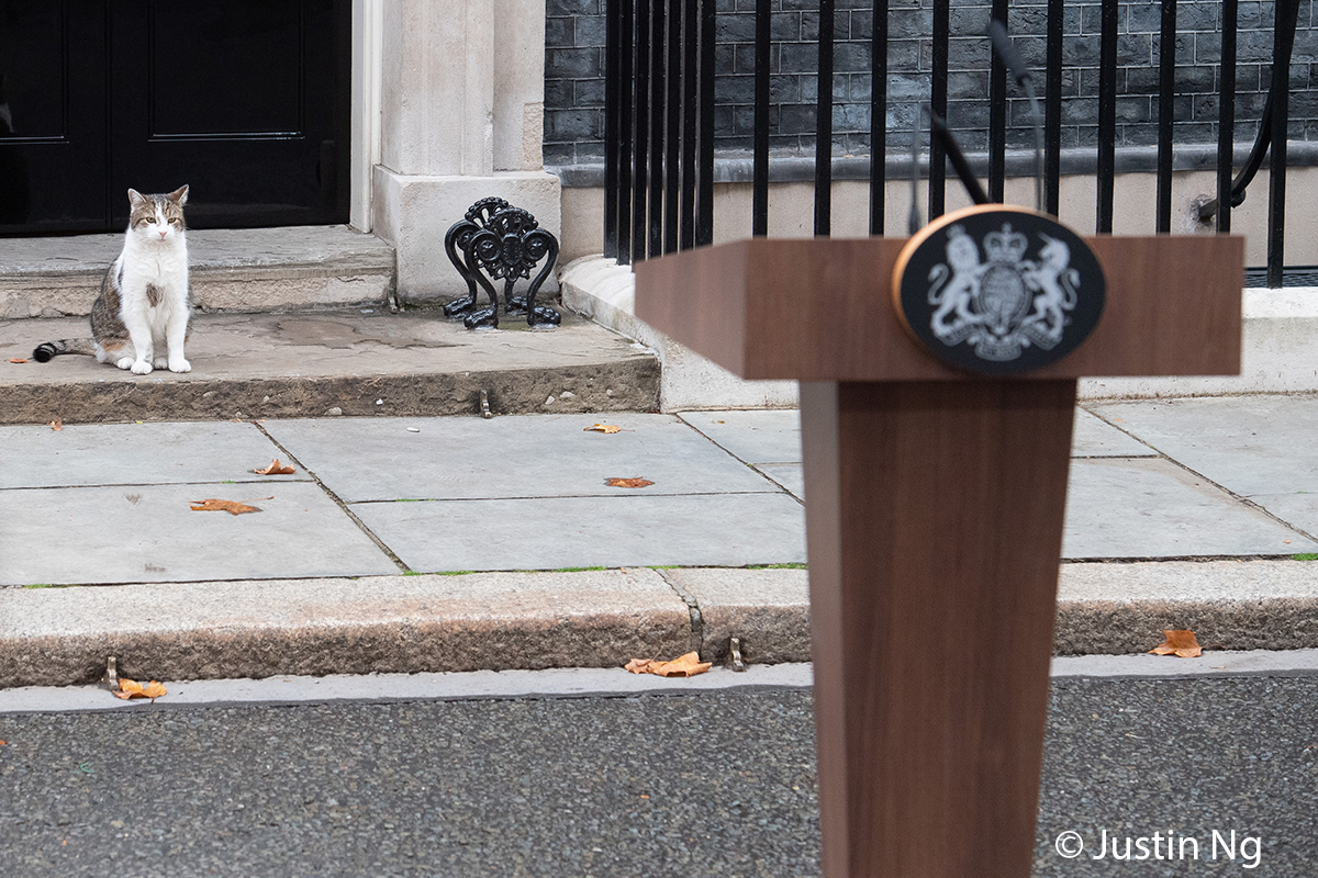 Justin Ng tweet media