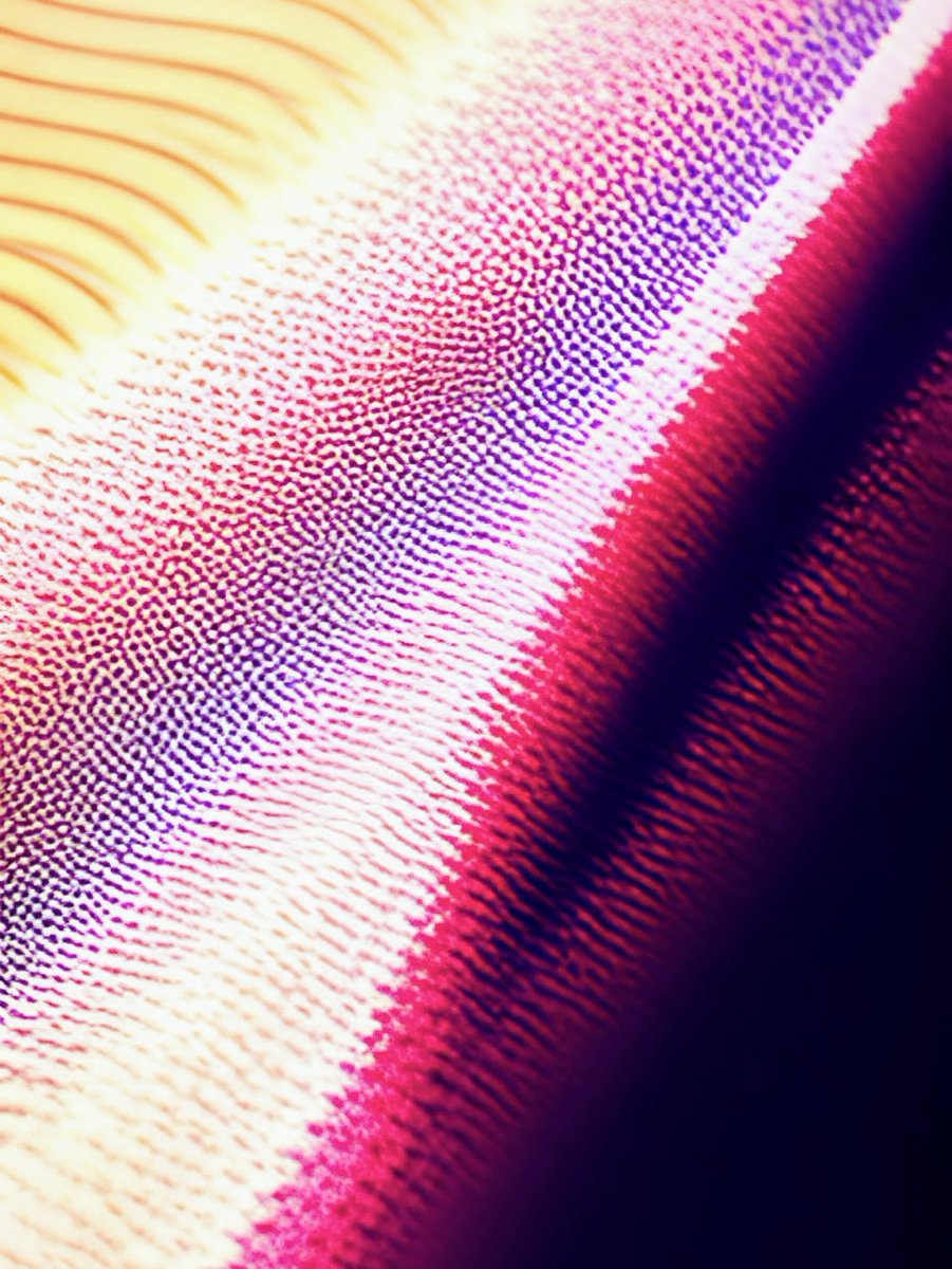 TheRorschachCol's tweet photo. GM everyone ☕️😊

1/1 ‘Oscillation 03’ is now available for 1 $XTZ

50% of proceeds are donated to an environmental NPO 🌍

https://t.co/Xoh1oIHpMm

#NFT #nftartist #nftcommunity #objkt
#NFTCollection #nftcollector #nftart #tezos https://t.co/SfR9kWymh9