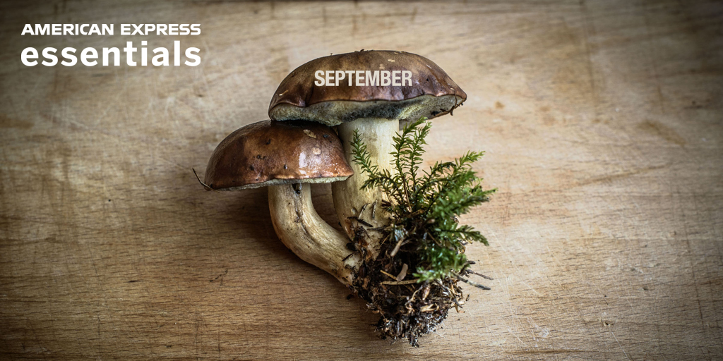 American Express Essentials tweet media