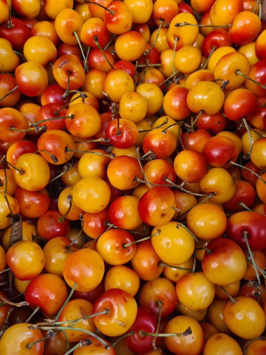 MarketFood's tweet photo. 🍂As the leaves start to brown and the conkers begin to drop, we are getting into the swing of the Autumn spirit at New Covent Garden Market by embracing our orange, red and soft brown tones 🍂 #Autumn #British https://t.co/mAg7A15xHD