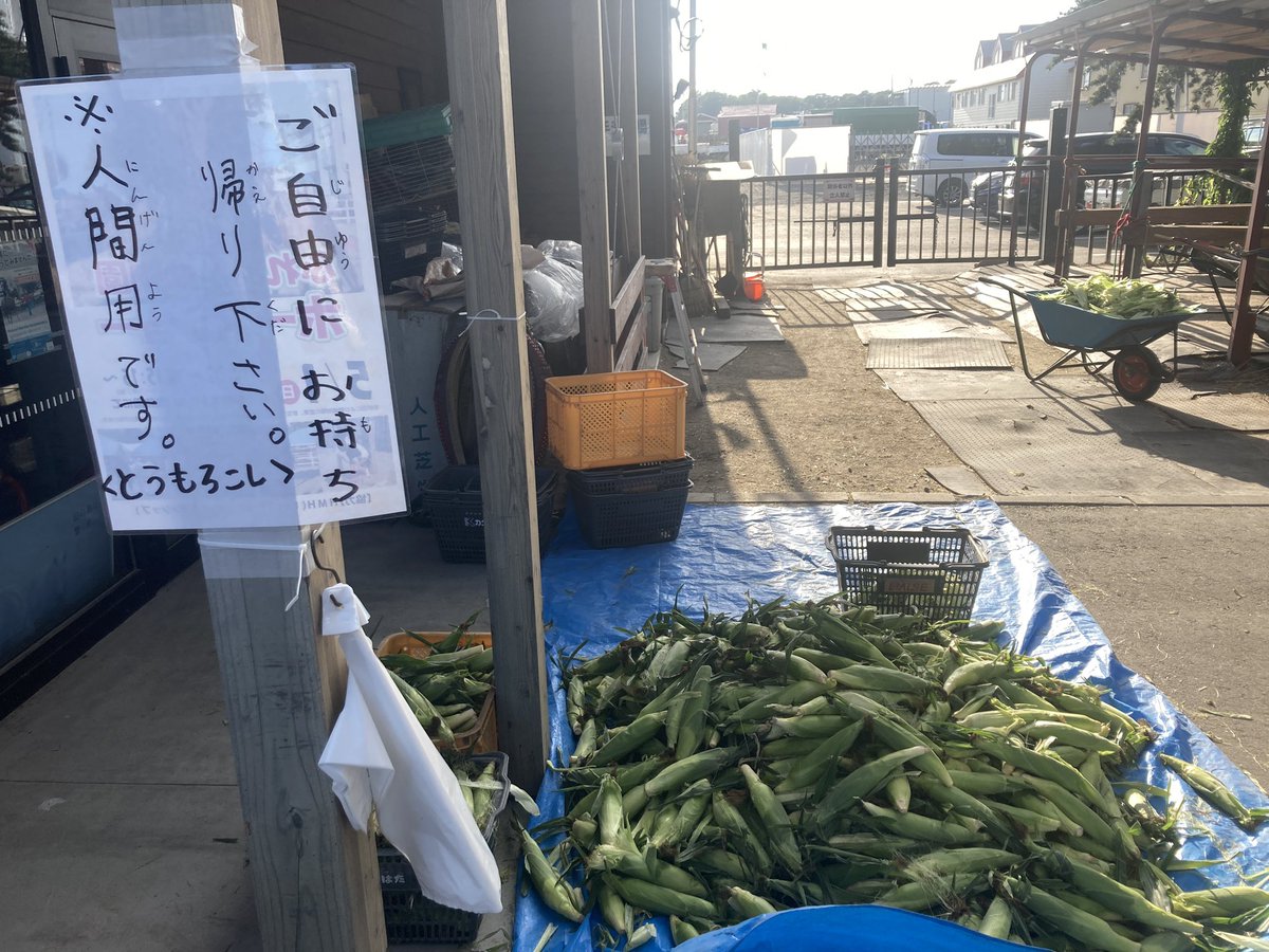 kkknf1's tweet photo. 帯広競馬場でとうもろこし(人間用)無料だった https://t.co/7q07WTwnW0