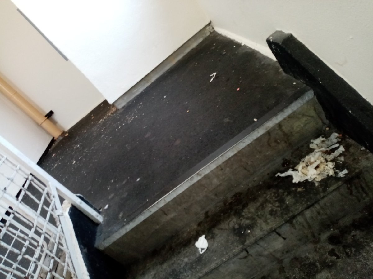 RealRawRhymes's tweet photo. @IncommunitiesHA @Bradford_TandA @AcornBradford Its now 12 days since you said this has been reported. A further 6 days, since it was re-reported. And 4 days, since York House Manager Natalie was made aware. Why is it still here? My outdoor light is Still not fixed. Can you provide me with the reference number of these jobs? https://t.co/gdPTYt0NgW