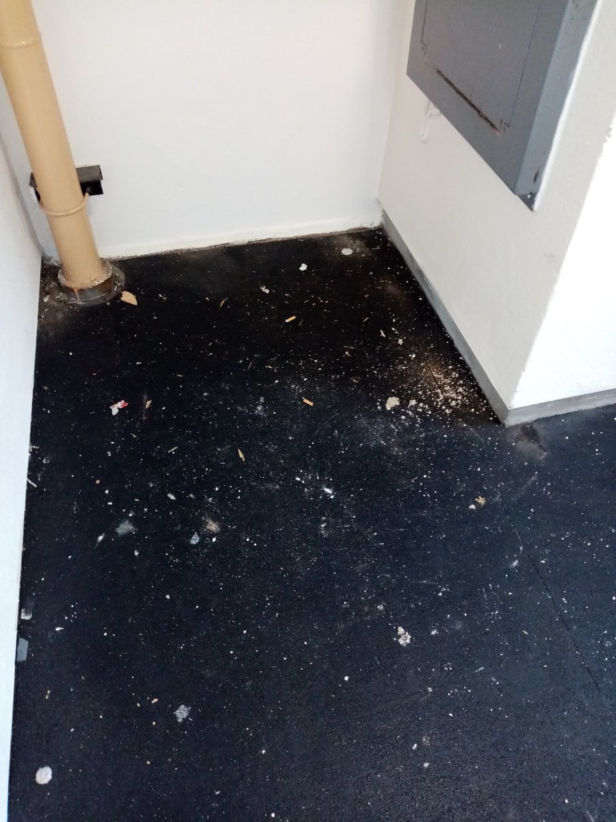 RealRawRhymes's tweet photo. @IncommunitiesHA @Bradford_TandA @AcornBradford Its now 12 days since you said this has been reported. A further 6 days, since it was re-reported. And 4 days, since York House Manager Natalie was made aware. Why is it still here? My outdoor light is Still not fixed. Can you provide me with the reference number of these jobs? https://t.co/gdPTYt0NgW