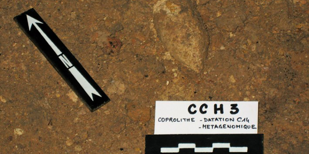 CNRSbiologie's tweet photo. #ResultatScientifique 🔎 | Génome d'un canidé de la grotte Chauvet et son alimentation révélés par l'ADN ancien

✍️Christophe Hitte @HitteChristophe et Jean-Marc Elalouf
📕 @Ecol_Evol | https://t.co/Dwyy5JqCl0
▶️ https://t.co/njxUx7KGba https://t.co/HajKztb5DP