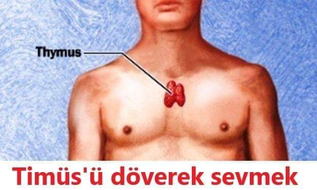TİMÜSÜ EŞEK SUDAN GELİNCEYE KADAR DÖVMEK LAZIM, 

Genç ve sağlıklı olmak ve kalmak için Timüsü eşek sudan gelinceye kadar dövmek lazım.

Timüs bezi, tiroid bezinin altında, göğüs boşluğunda ve soluk borusunun önünde bulunur.

Bu bez insanın bağışıklık sisteminin merkezidir.