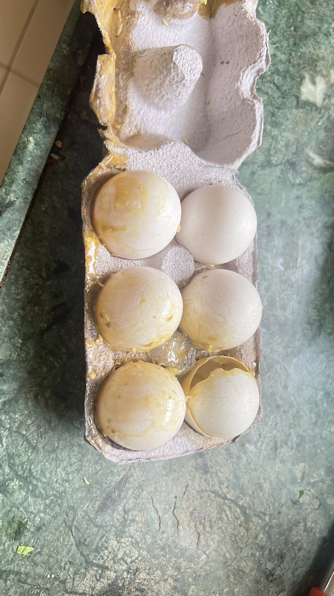 sanjay_sunagar's tweet photo. @SwiggyInstamart I received defected items in which worms are present and spilled in all items (Specially egg has worms ) https://t.co/4GdKxHBVPL
