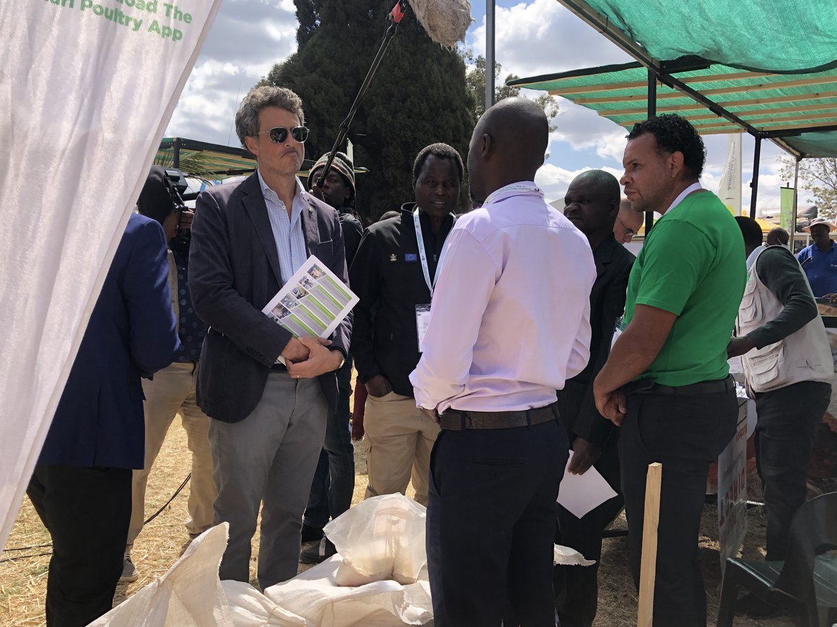 Inclusive Poultry Value Chain Zimbabwe tweet media