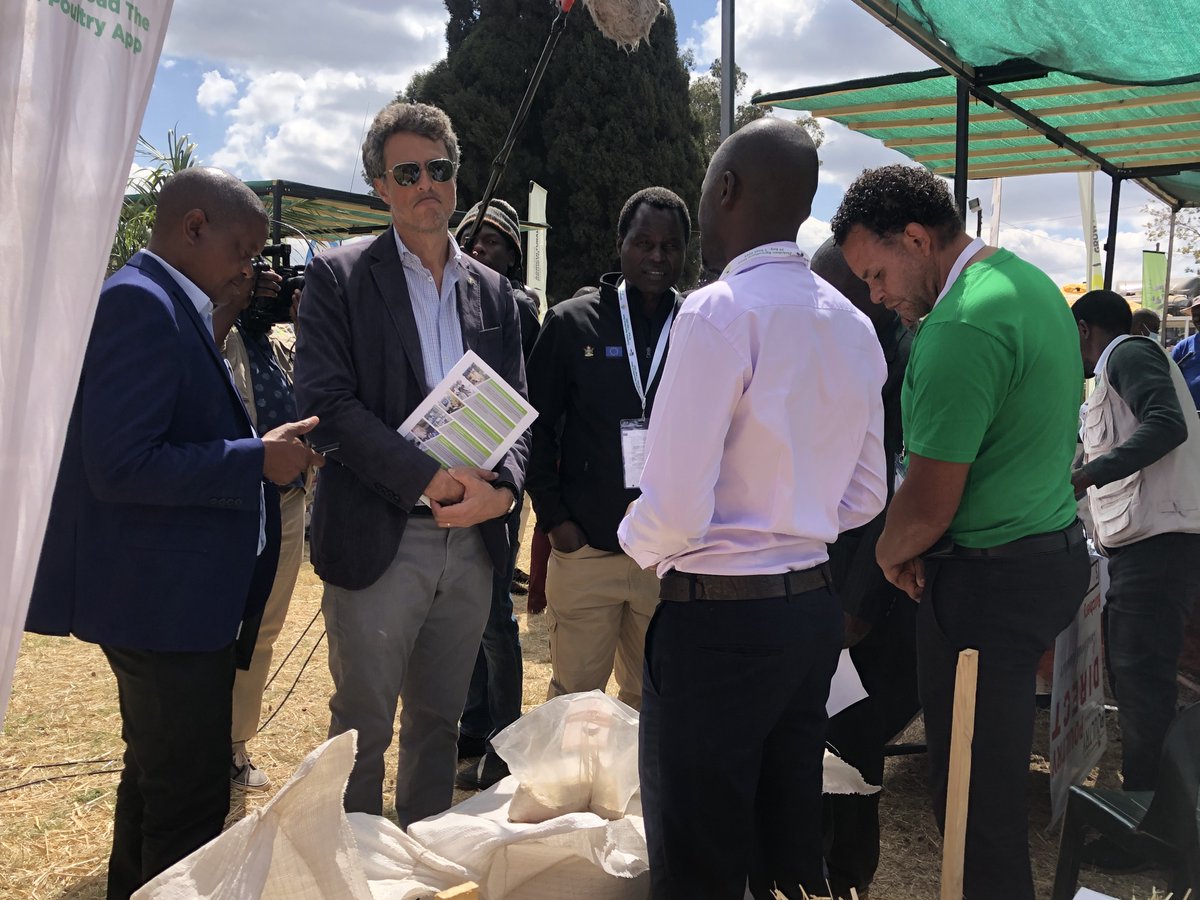 Inclusive Poultry Value Chain Zimbabwe tweet media