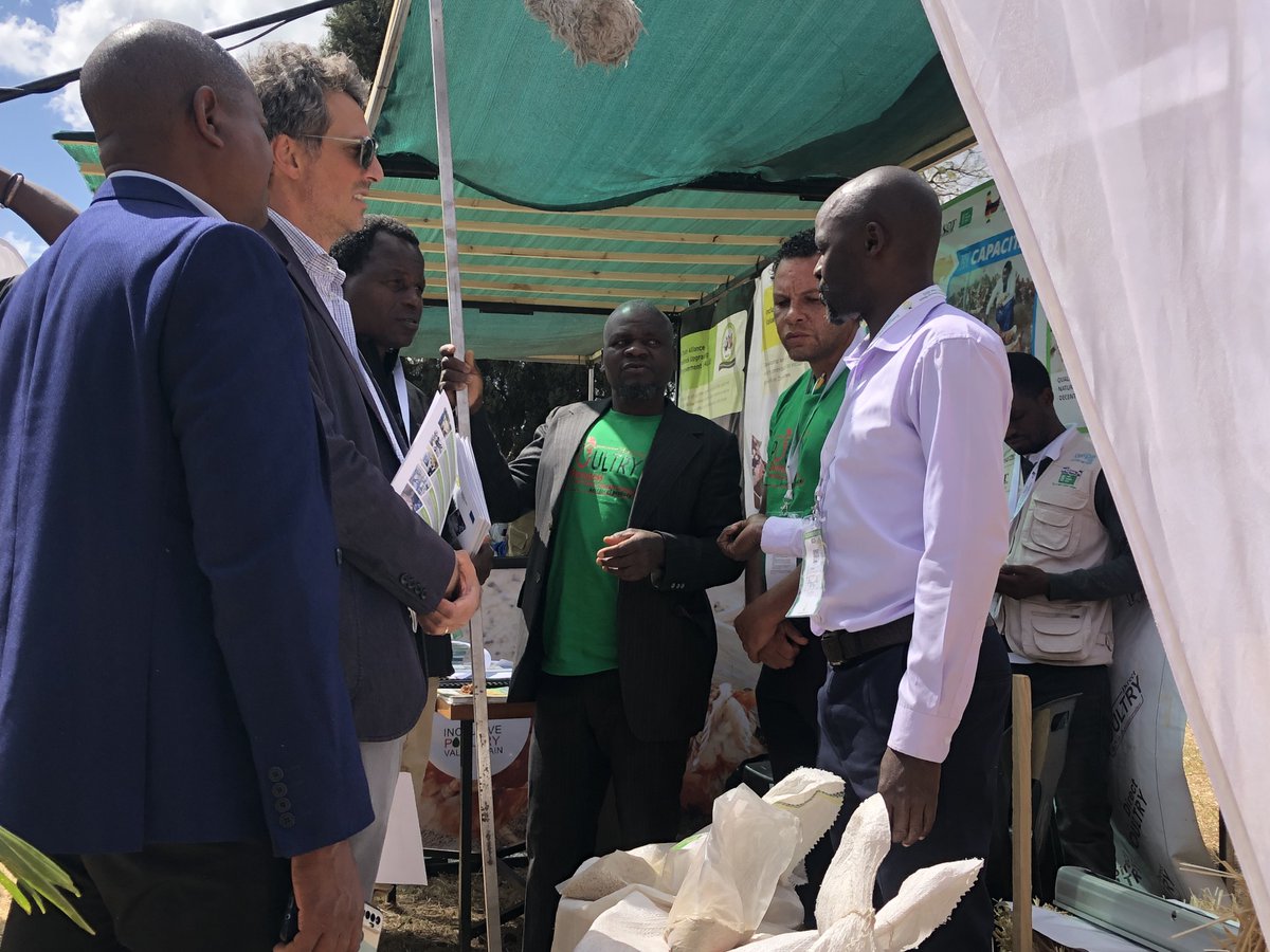 Inclusive Poultry Value Chain Zimbabwe tweet media