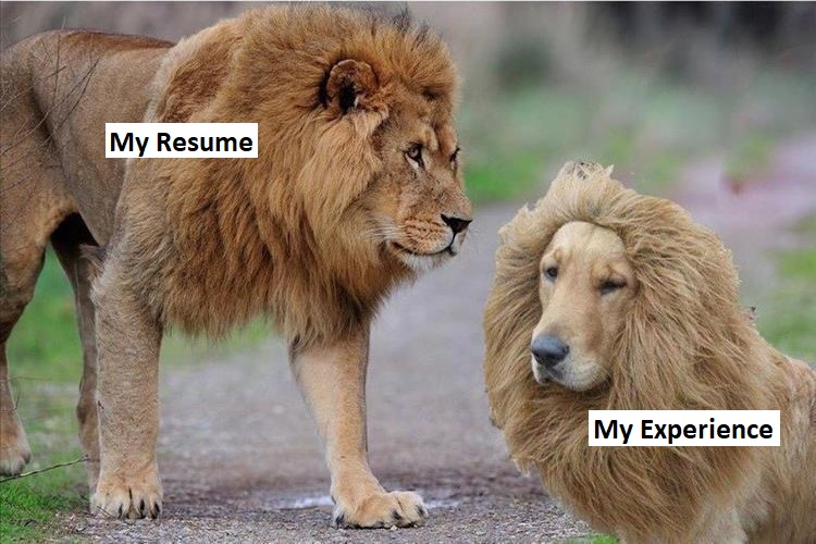 MeWorka's tweet photo. When you lie on your resume 😁😂

By the way, if you are looking for tips on how to write a perfect resume, you can find them here https://t.co/O5iXBAccik https://t.co/rcmzxVoNy1
