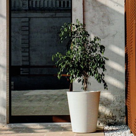 AGED OAK BARRELS 👀 - mailchi.mp/3e45397a20e3/n…