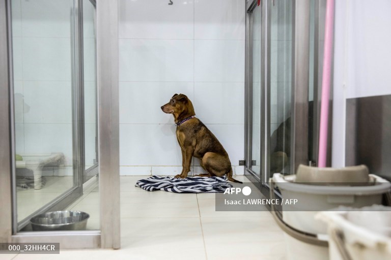 AFP Photo tweet media