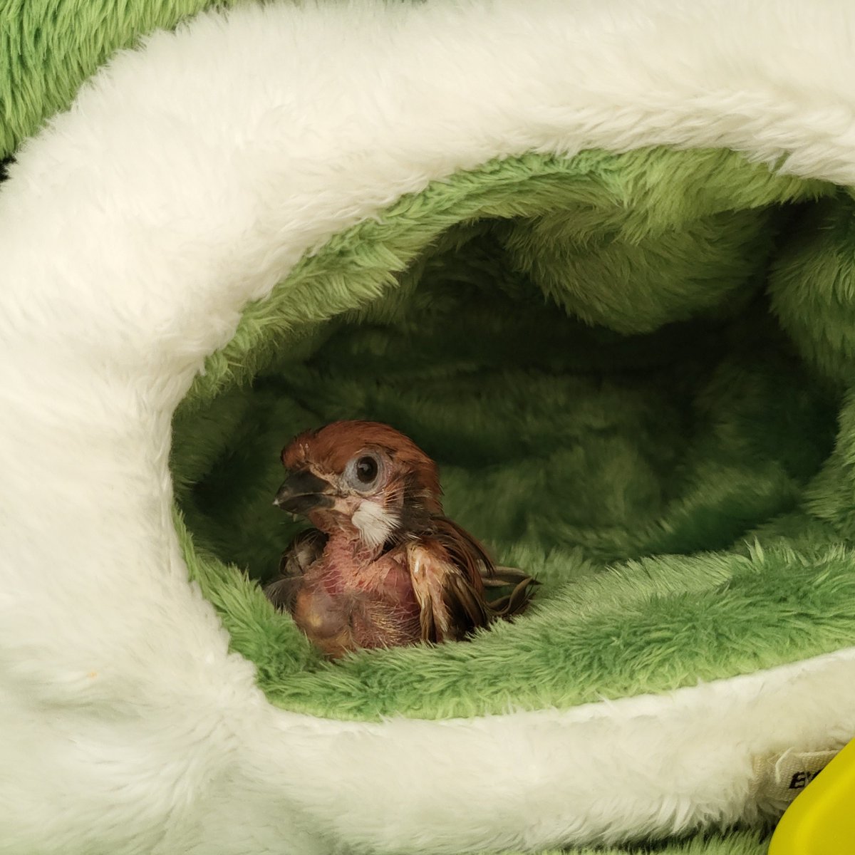 트리 엄마 퇴근한다 기다려