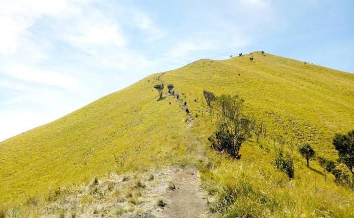 vinsmokeDragnel's tweet photo. Lagi ke pengen naik gunung Merbabu via suwanting
Ada yg mau plan ke sini or tau open trip merbabu via suwanting tanggal 23-25 September??
Kalau mau sharecost ntar gw bawa tenda sendiri dah
Yg punya info tlong share ya
#merbabu #suwanting #magelang #hiking #nanjak #mountain https://t.co/FOHV9c4Uuc