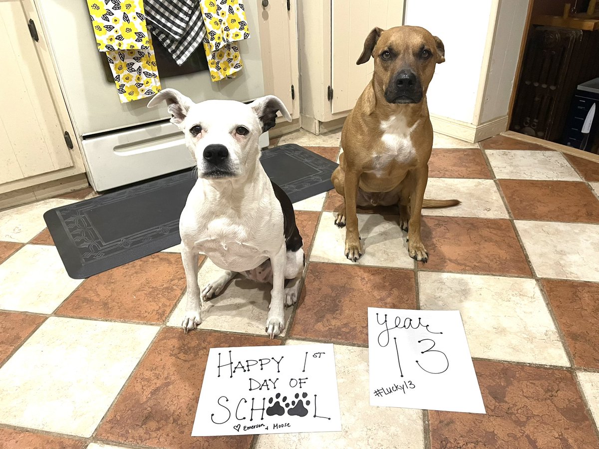 RachelScupp's tweet photo. Happy 1st day of school! Here’s to year 13!! @TGMSJags @WWP_Schools #Lucky13 https://t.co/QQcuaO0x2p