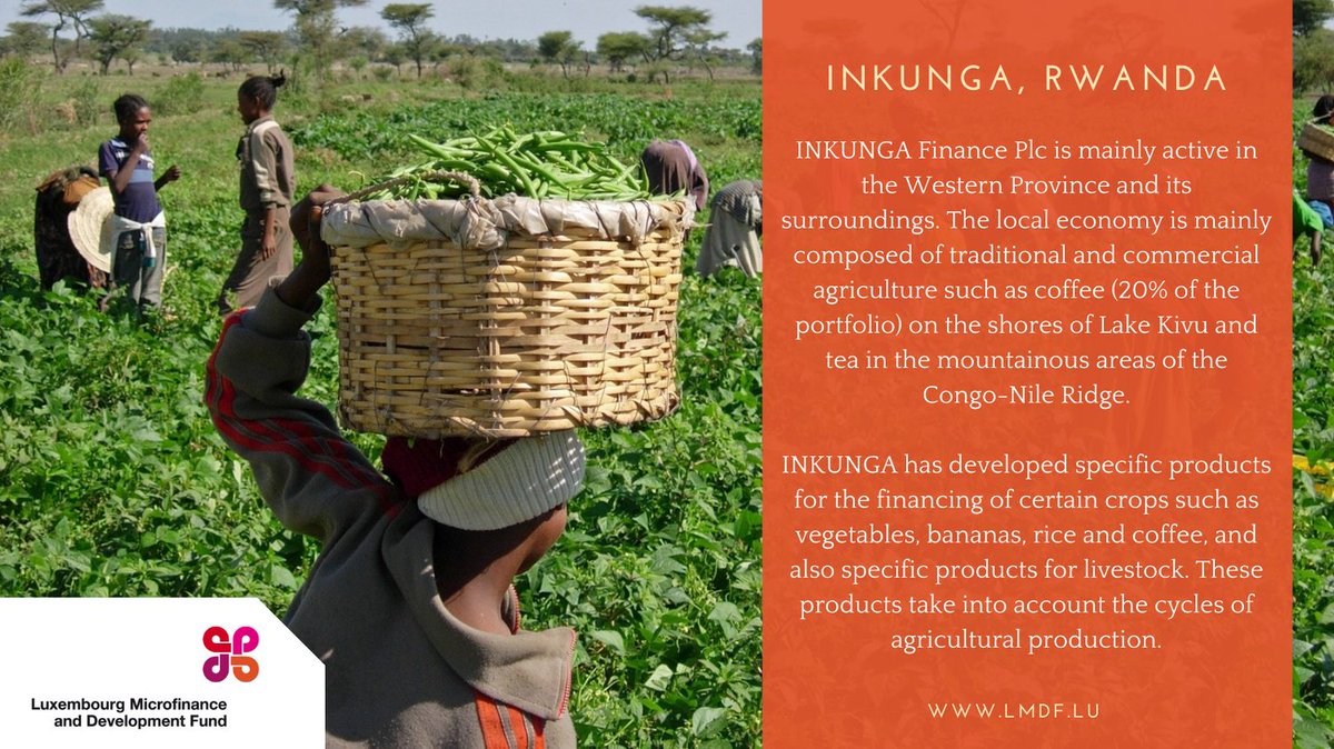 INKUNGA Finance Plc derives from the INKUNGA Savings and Credit Cooperative created in 1995 in Rwanda. The cooperative transformed into a commercial microfinance company in 2016 and into a licensed Microfinance Institution in 2017... More: lmdf.lu/en/imf/inkunga…